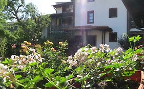 Oazis Guesthouse